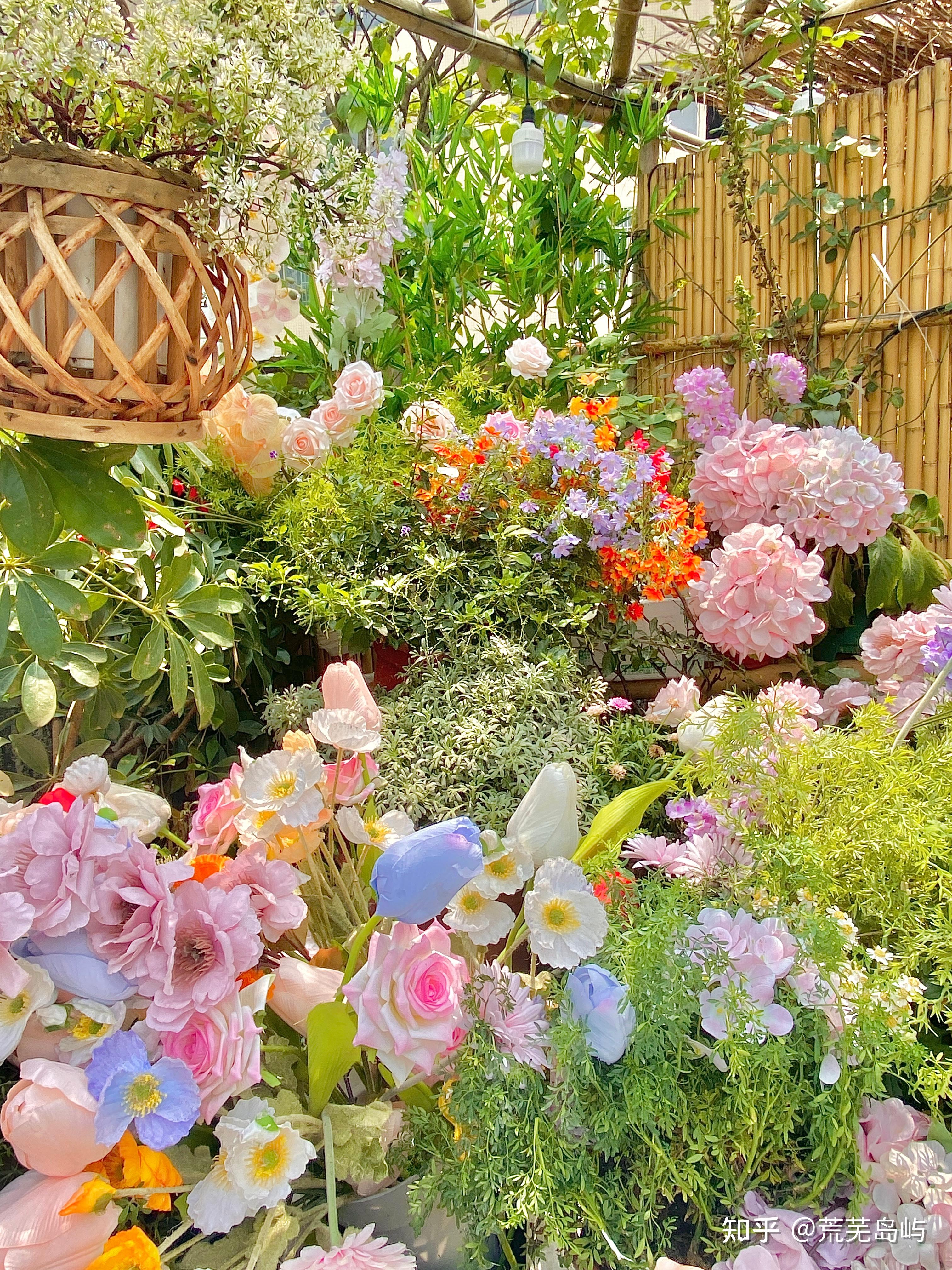 能分享一张你手机里真实好看的风景照么