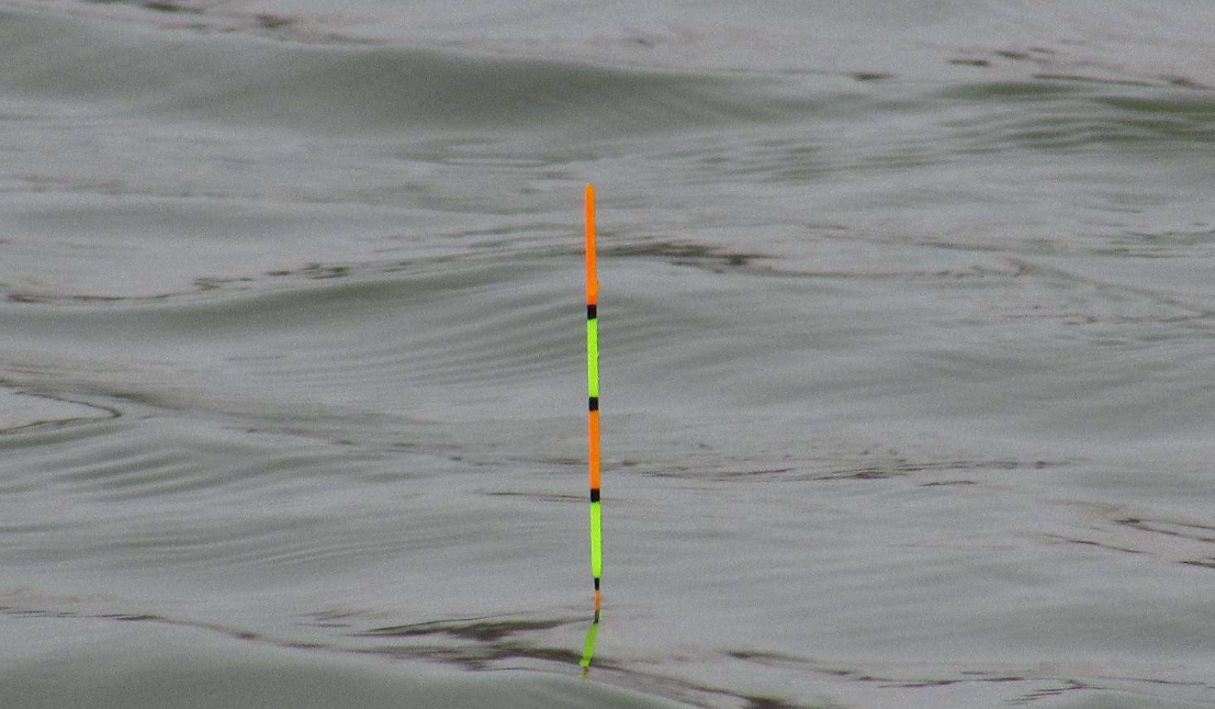 浮漂是钓鱼人的眼睛那么浮漂该如何选择呢