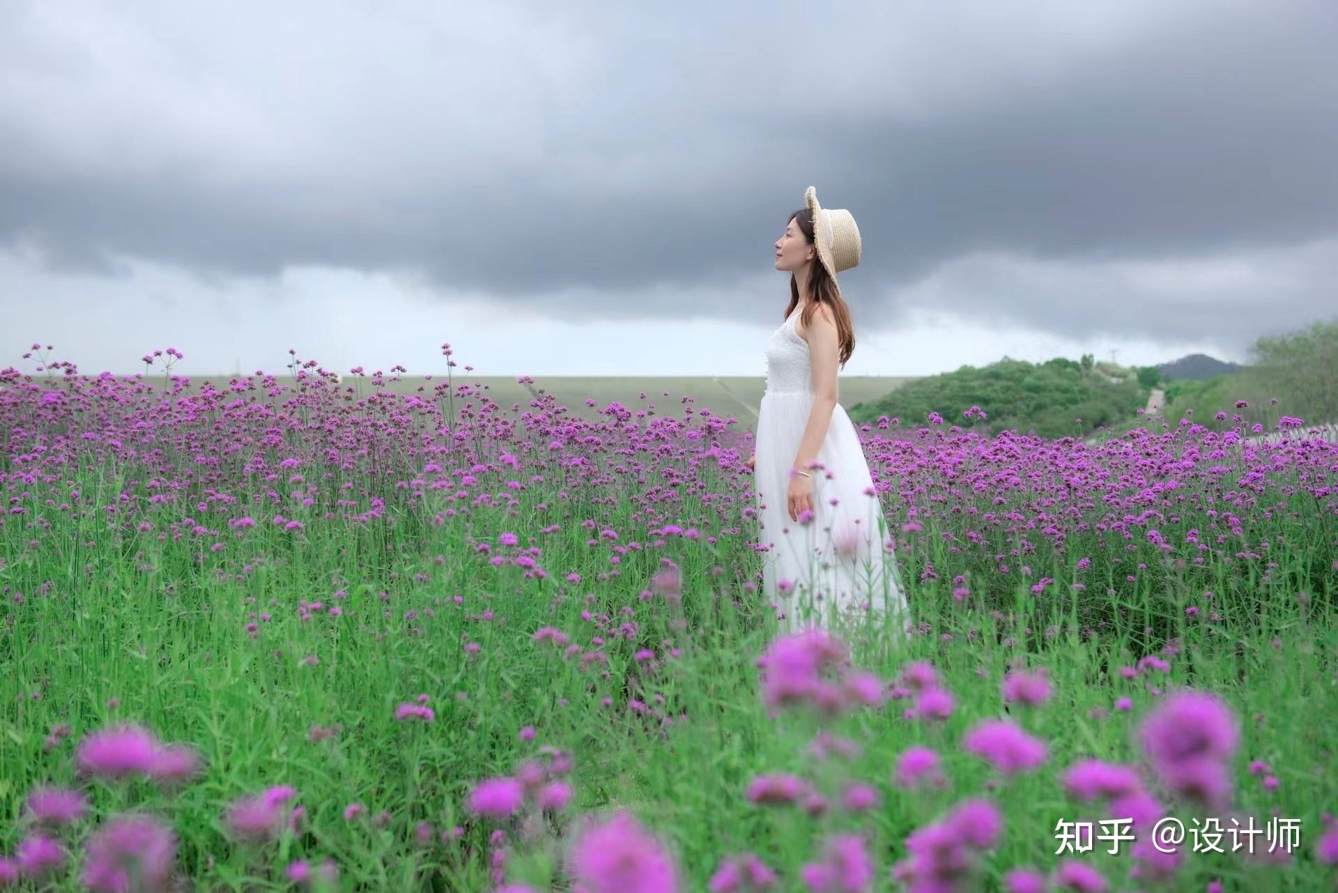 唯美浪漫的马鞭花人像怎么拍收好这份拍摄指南拍照景美人更美