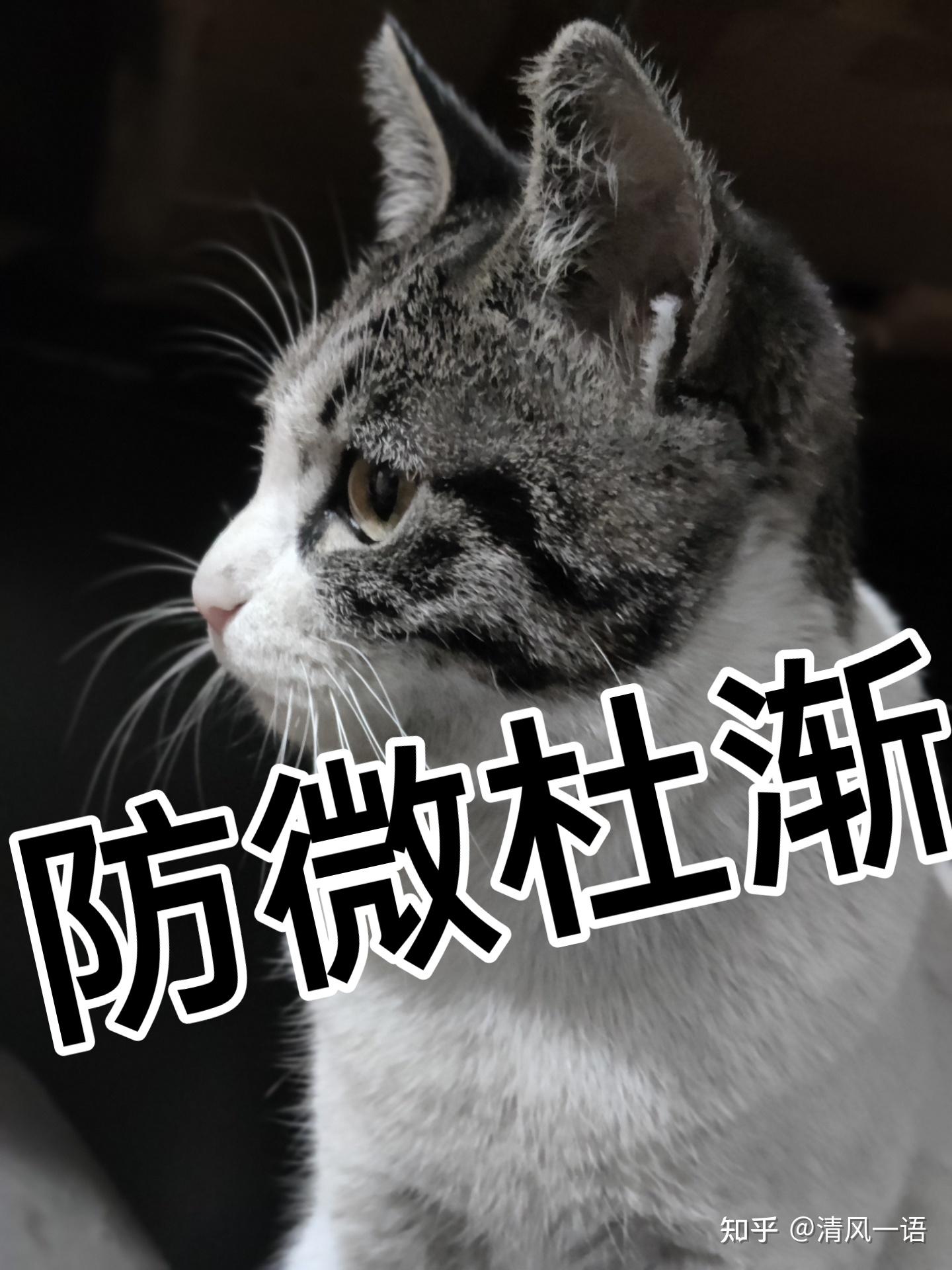 前妻一直问我要孩子咋整? - 知乎