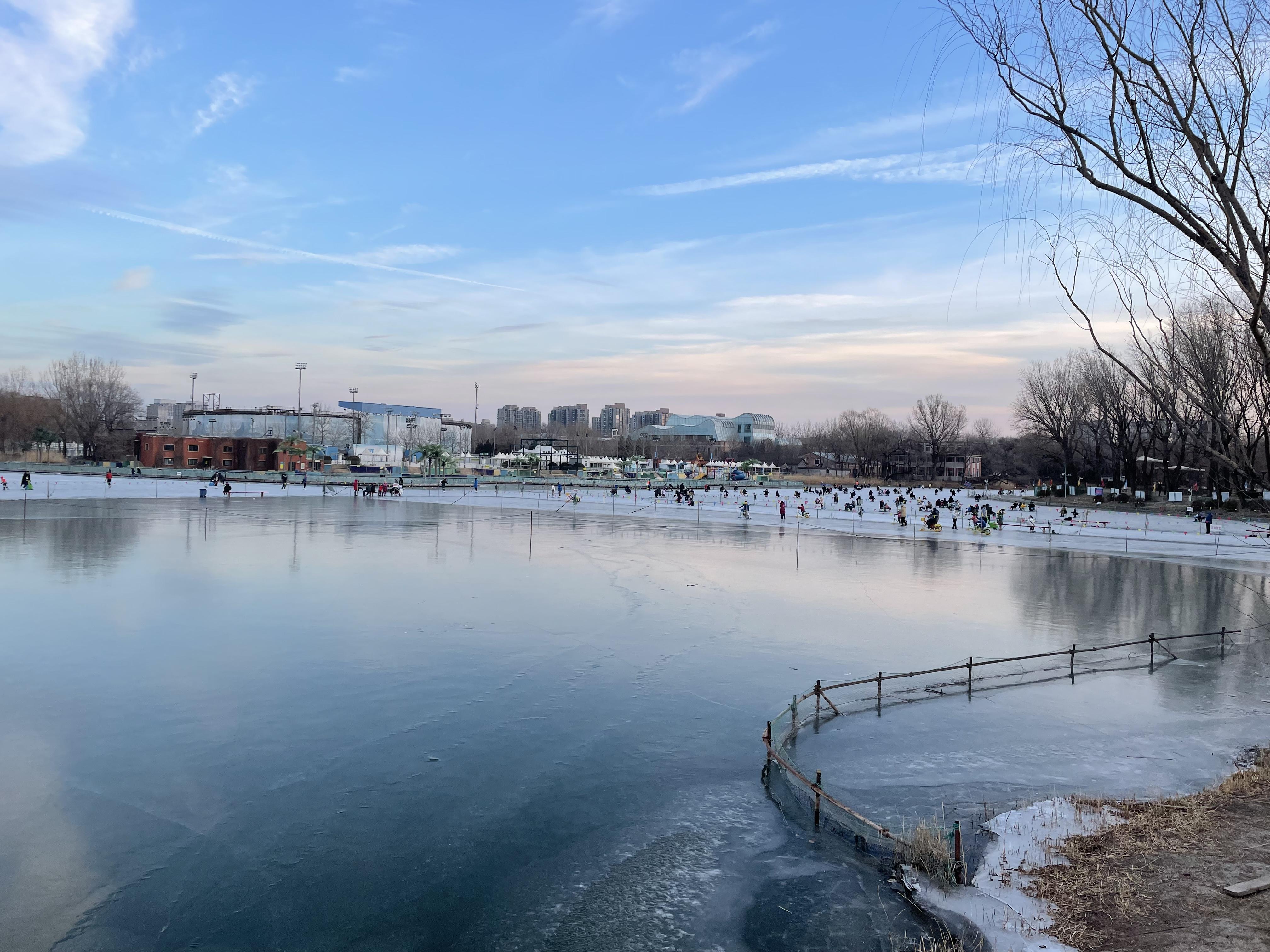北京市区的朝阳公园冰场开放啦