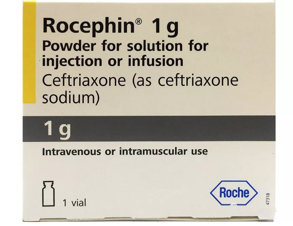 rocephin injection ceftriaxone 頭孢曲松鈉凍乾粉注射劑中文說明書