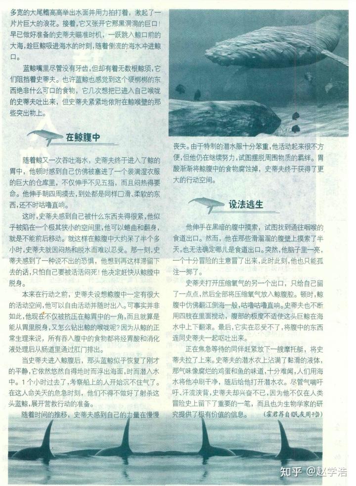 有氧潜水被鲸类吞下后是否还有自救可能?