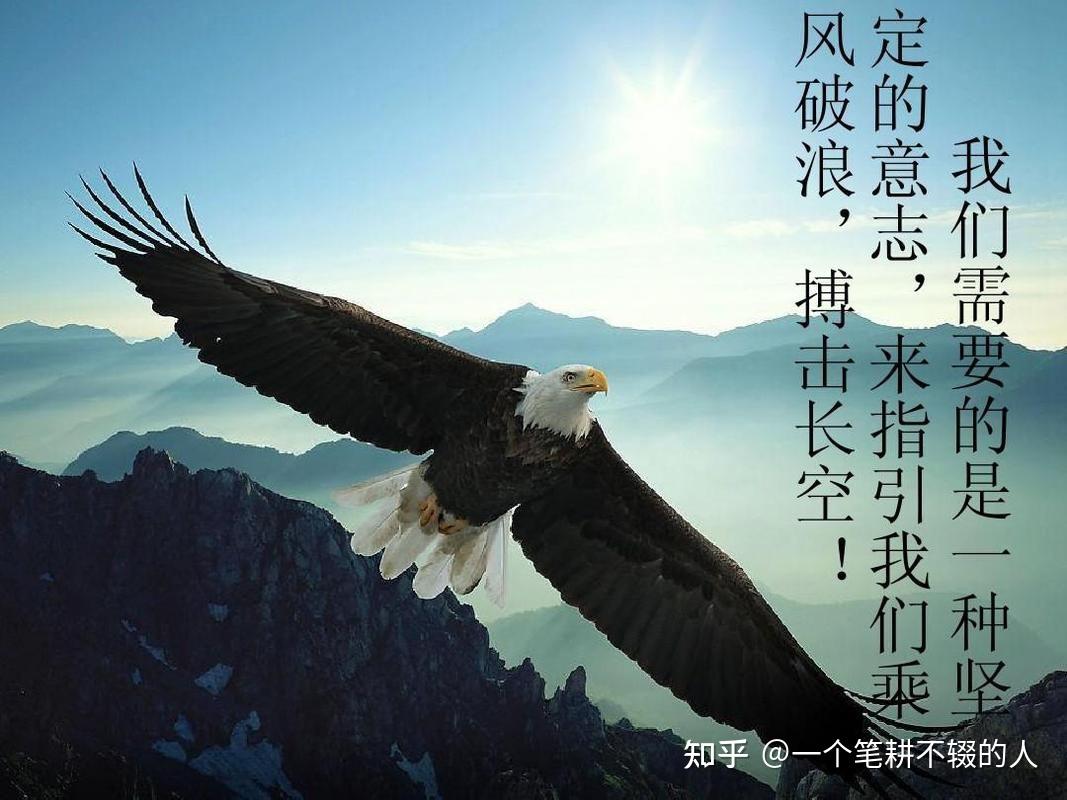真正的坚强不在表面!中考作文《强与坚强不一样》 - 知乎