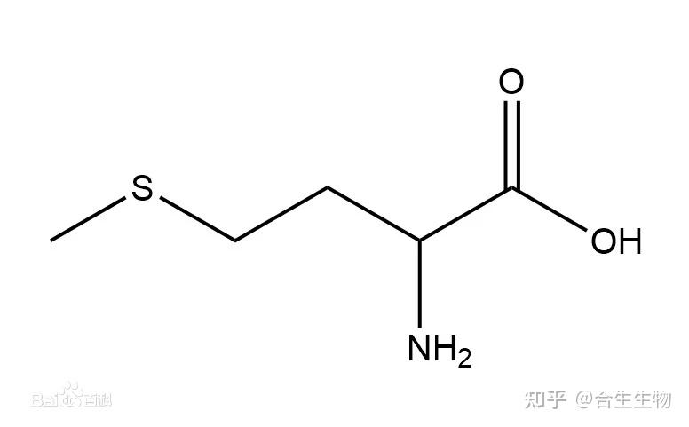 v2-0dd937b43559c1a7298a15d411109348_r.jpg