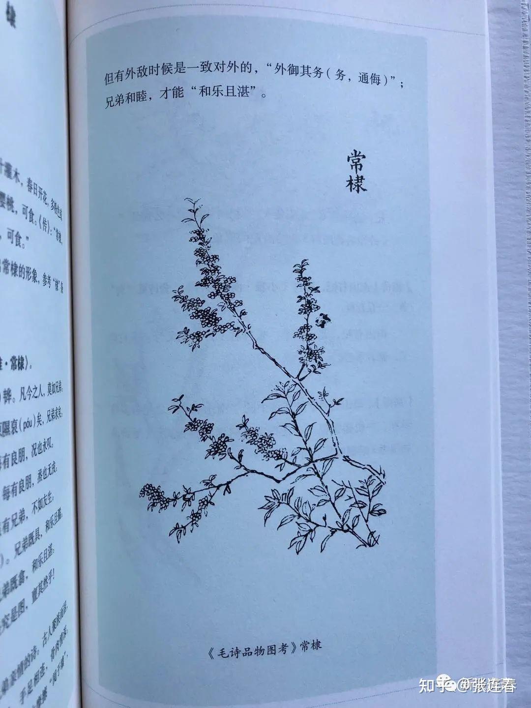 诗经手绘图谱 (日)冈元凤 细井徇薛林荣说:棠棣在中国古典文化中常常