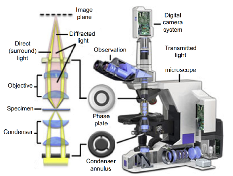 金相显微镜光学原理图图片