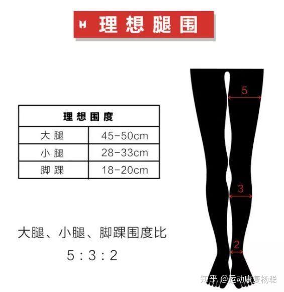 身高165cm体重52kg大腿围48cm大腿围算粗吗?