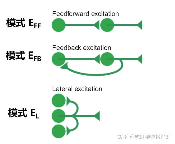 10种经典神经回路 - 知乎