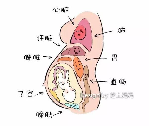 准妈妈妊娠期便秘怎么办 妇产科医生教你6个小窍门 知乎