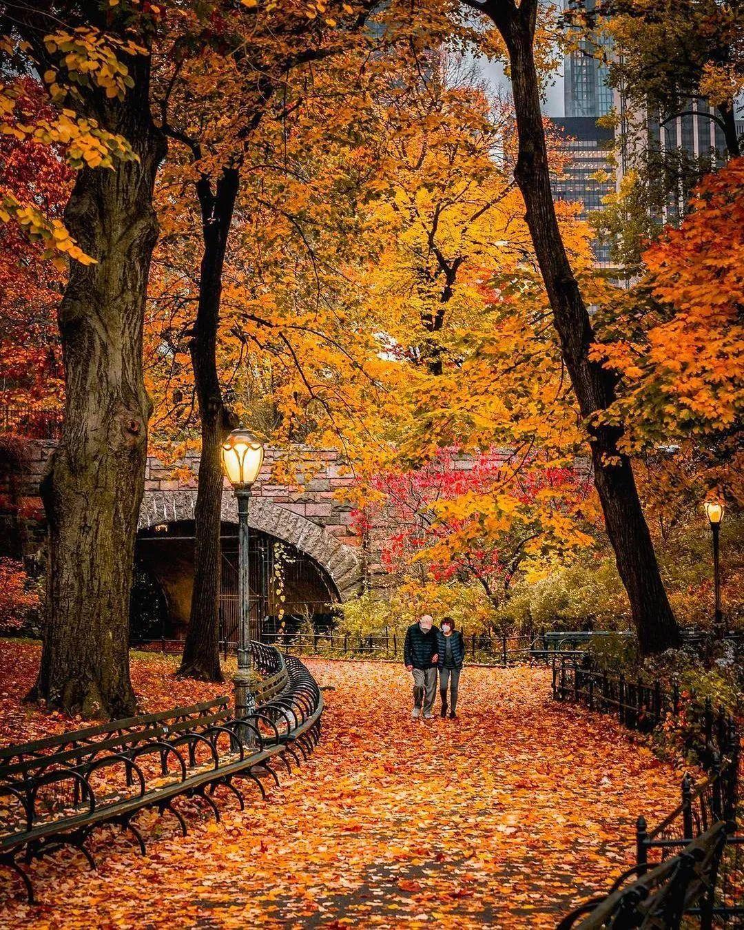 醉人的秋景，童话的世界