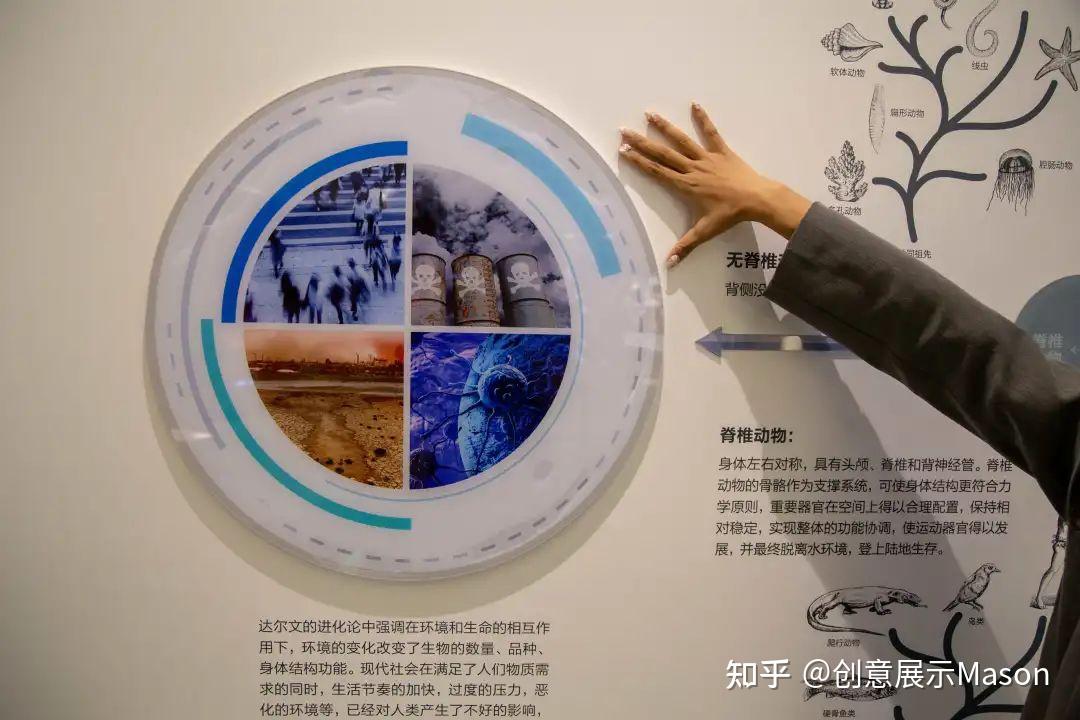 干细胞生命科学科普馆展厅设计分享|生物医疗|大健康|基因 | 免疫治疗 - 知乎