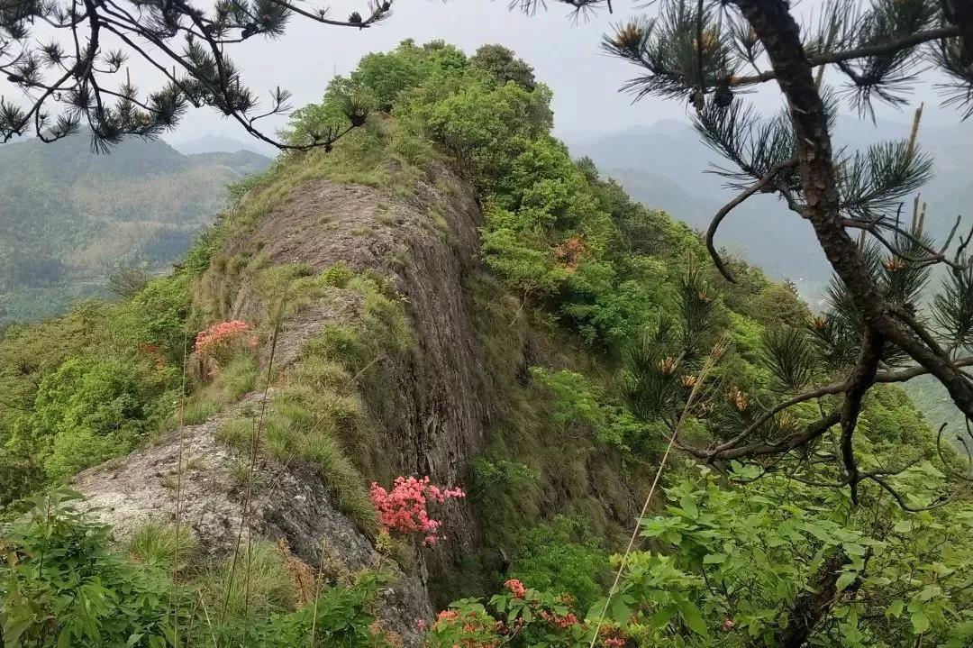 杀人桥 当年周钦贵的白头军捣火药用的石臼金鸡岩(非金鸡岩景区)