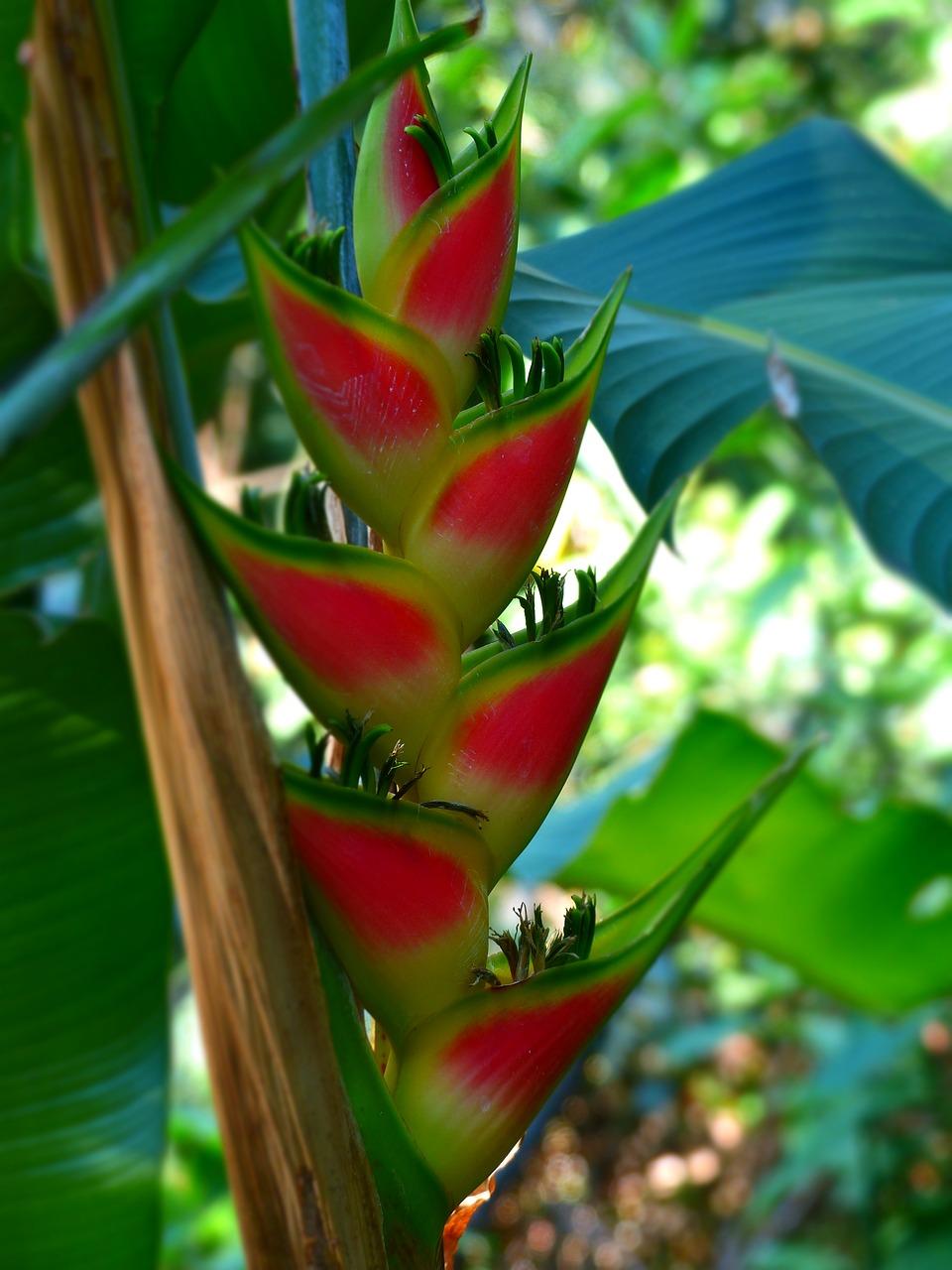 2. 花都宜居环境