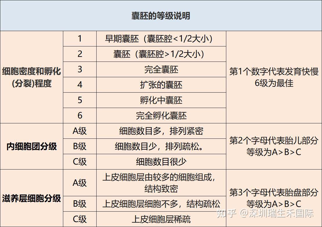 如果第一次试管不成功怎么办?