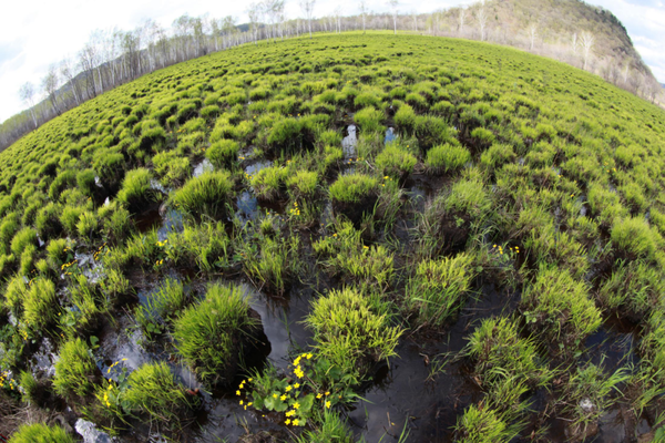 黑龙江省发布2019年生态环境状况公报:空气,水,土壤环境质量均改善
