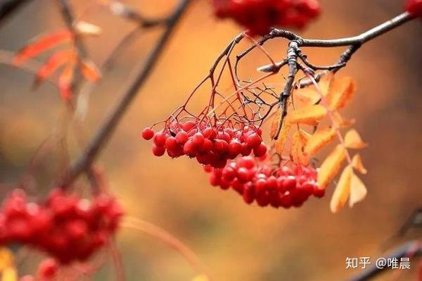 远香近臭保护感情的方法有所保留