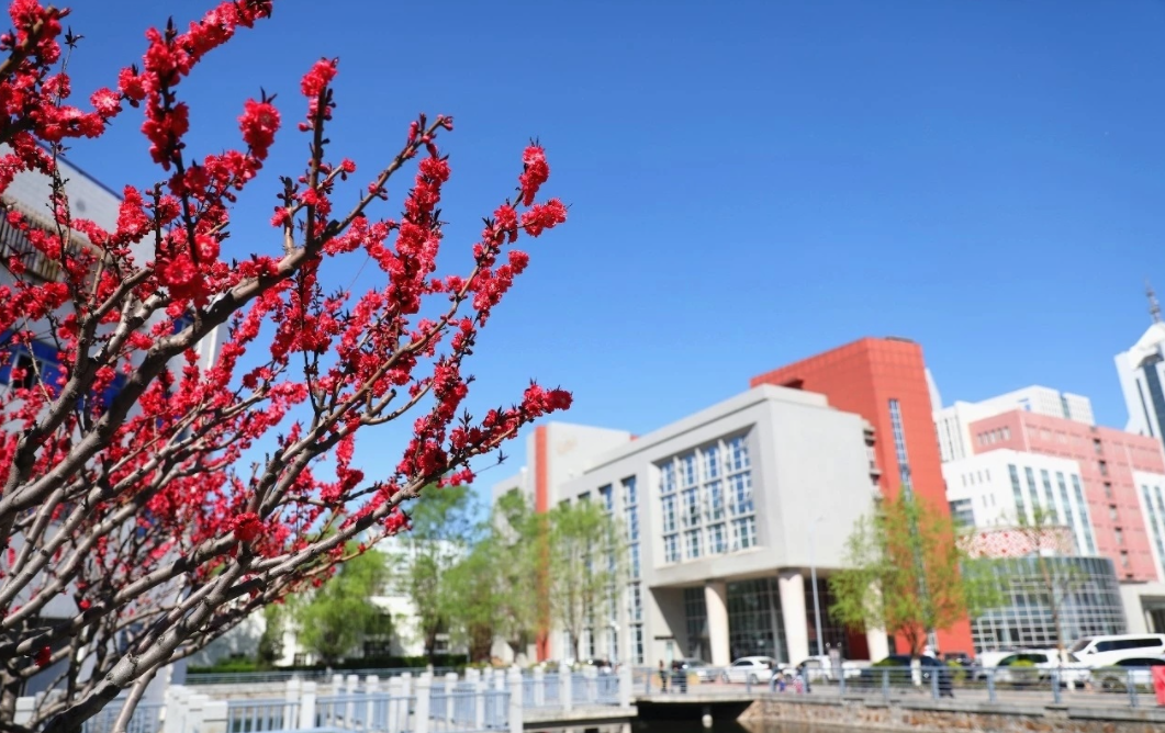 臨沂大學錄取分數線_臨沂市大學分數線_臨沂大學錄取分數線