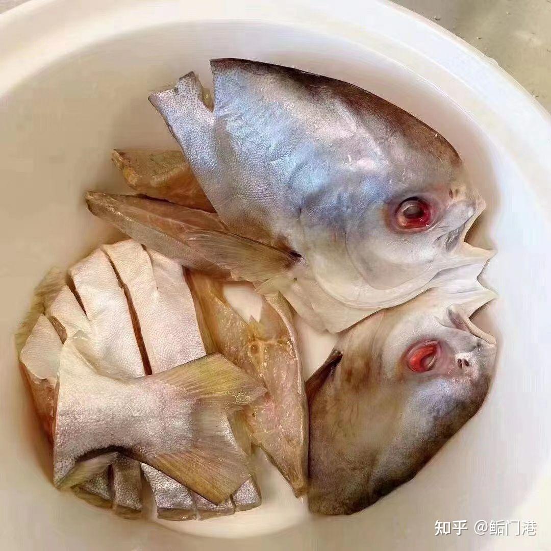 红烧鲳鱼图片,红鲳鱼的图片,金鲳鱼与银鲳鱼图片_大山谷图库