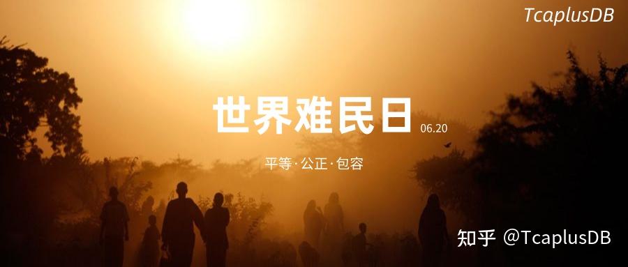 tcaplusdb世界难民日愿所有人都被温柔以待