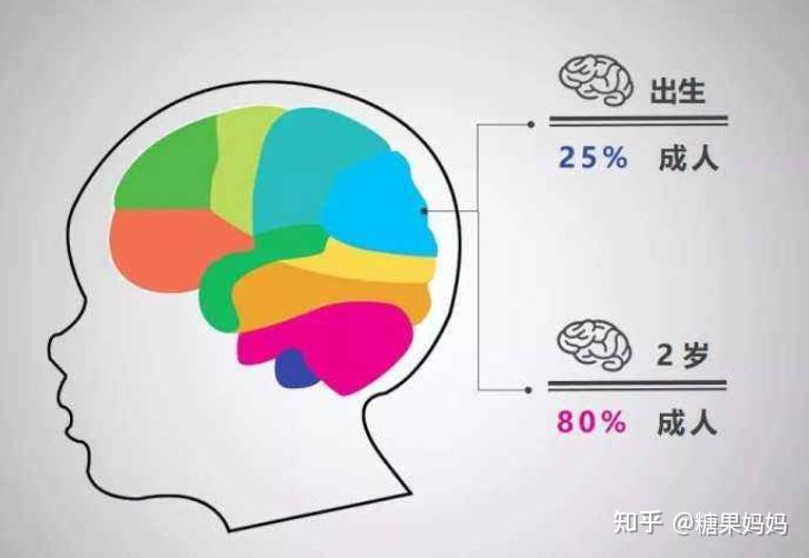 3歲前是孩子大腦發育的關鍵期想讓娃更聰明注意1睡2看