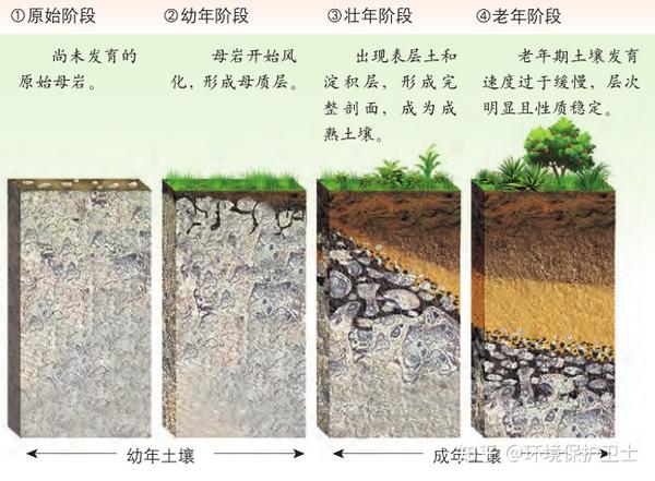 30媒蛤蜜革但磺蒋团谍璃 - 知乎