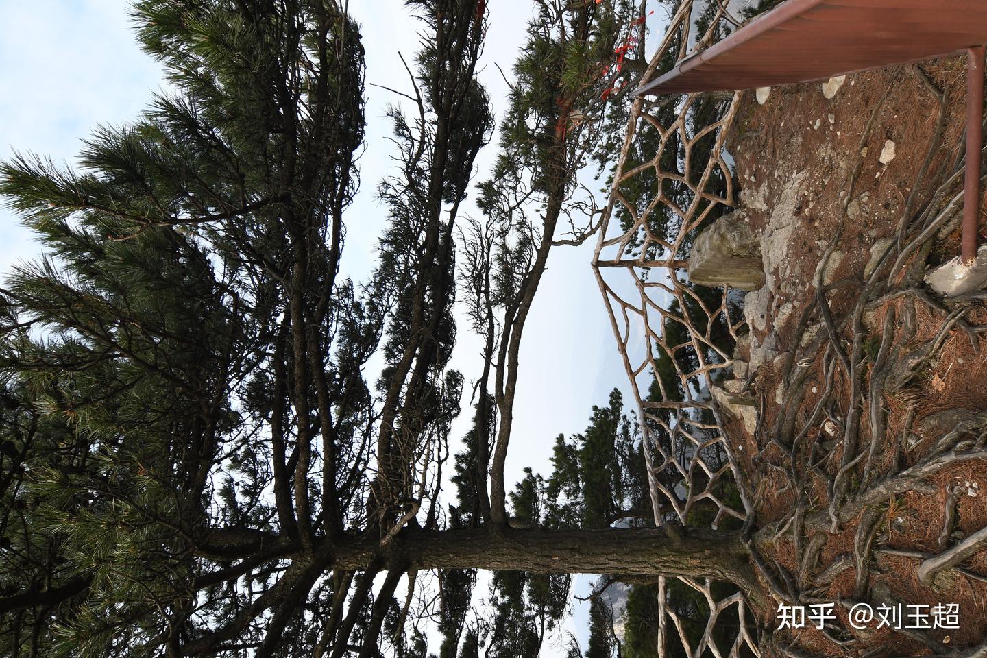 安徽天堂寨旅游攻略(附:天堂寨天屏峰顶风光) - 知乎