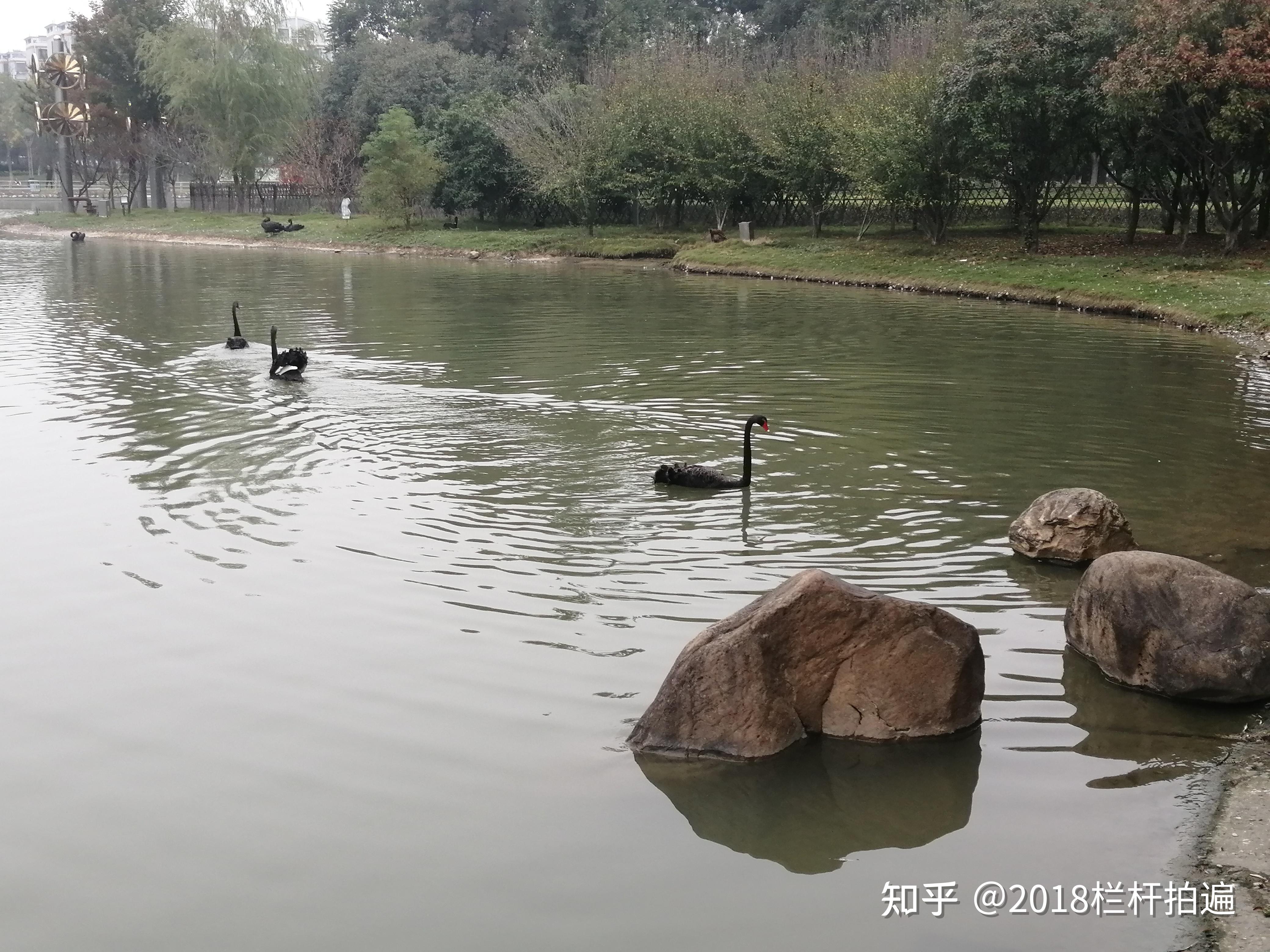 "紫贞公园"位于襄阳市高新区汉江北路东侧,"襄阳高新万达广场"的西北