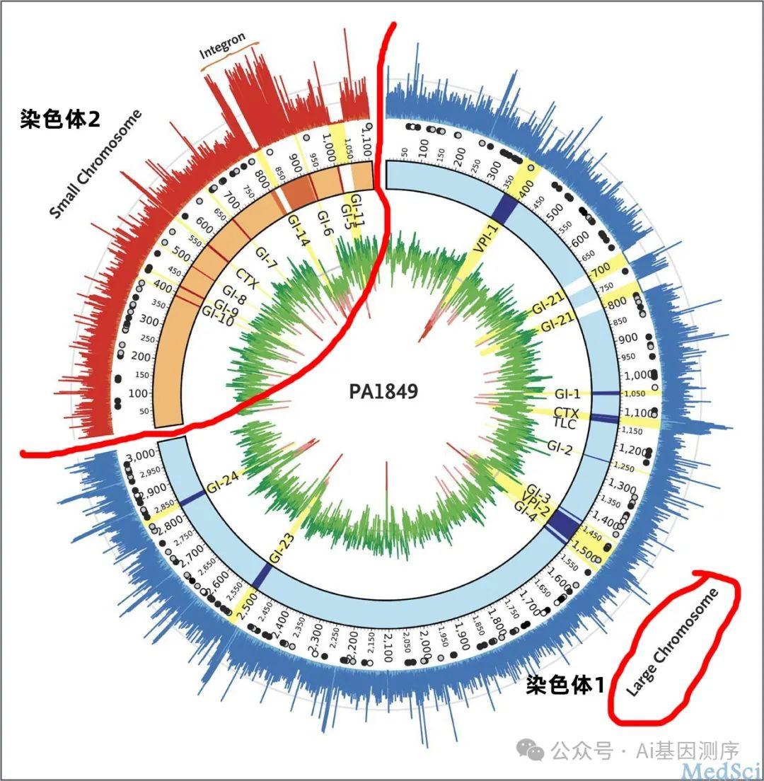 霍乱弧菌-基因结构 以及 测序分析相关 - 知乎