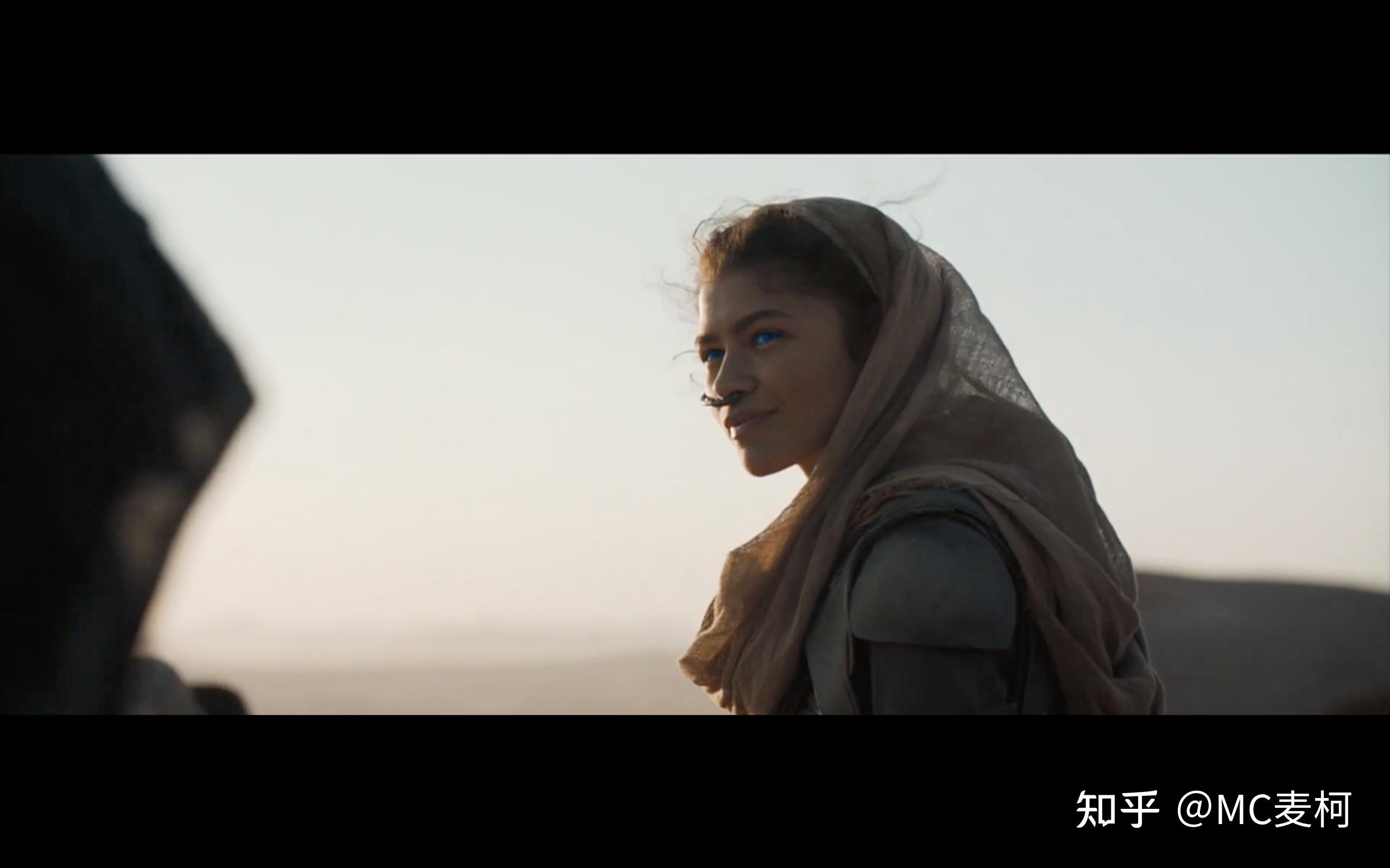 沙丘追梦人甜茶的英雄人设