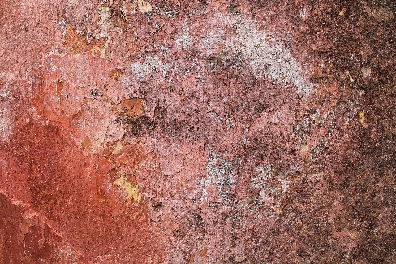 室内墙面涂料指南