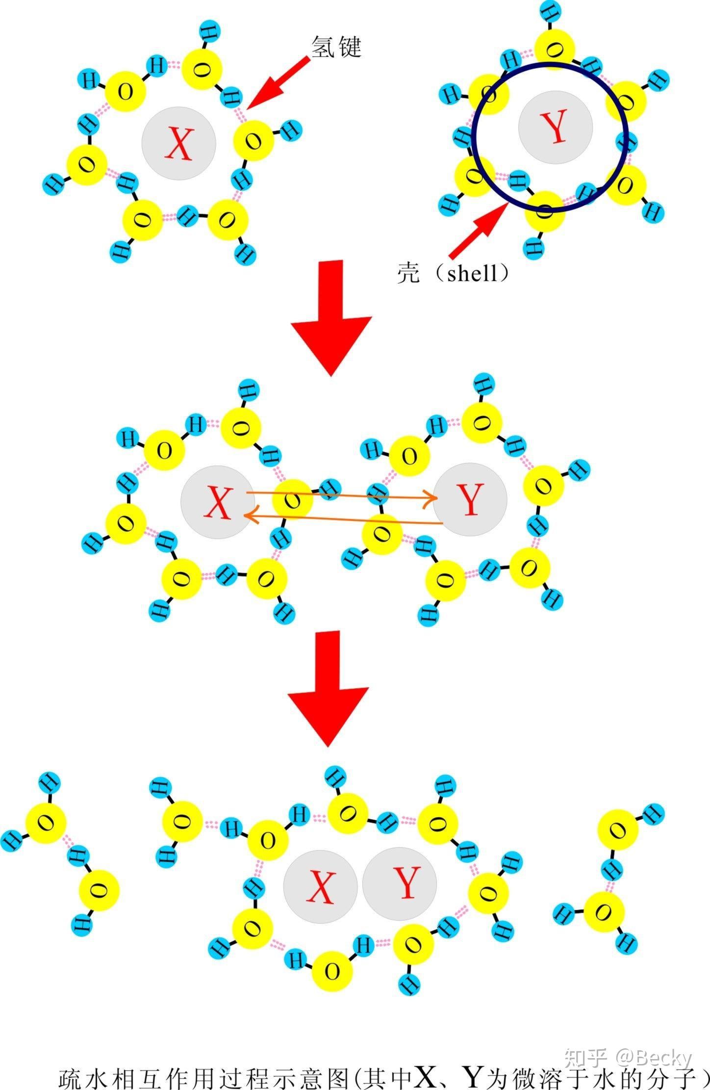 共价键最常见的方式是共价键,也是我们常说的化学键,比如水分子是 h