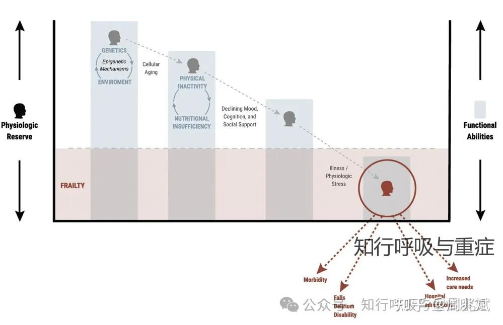 第201期 衰弱的概念、病理机制与评估策略 - 知乎