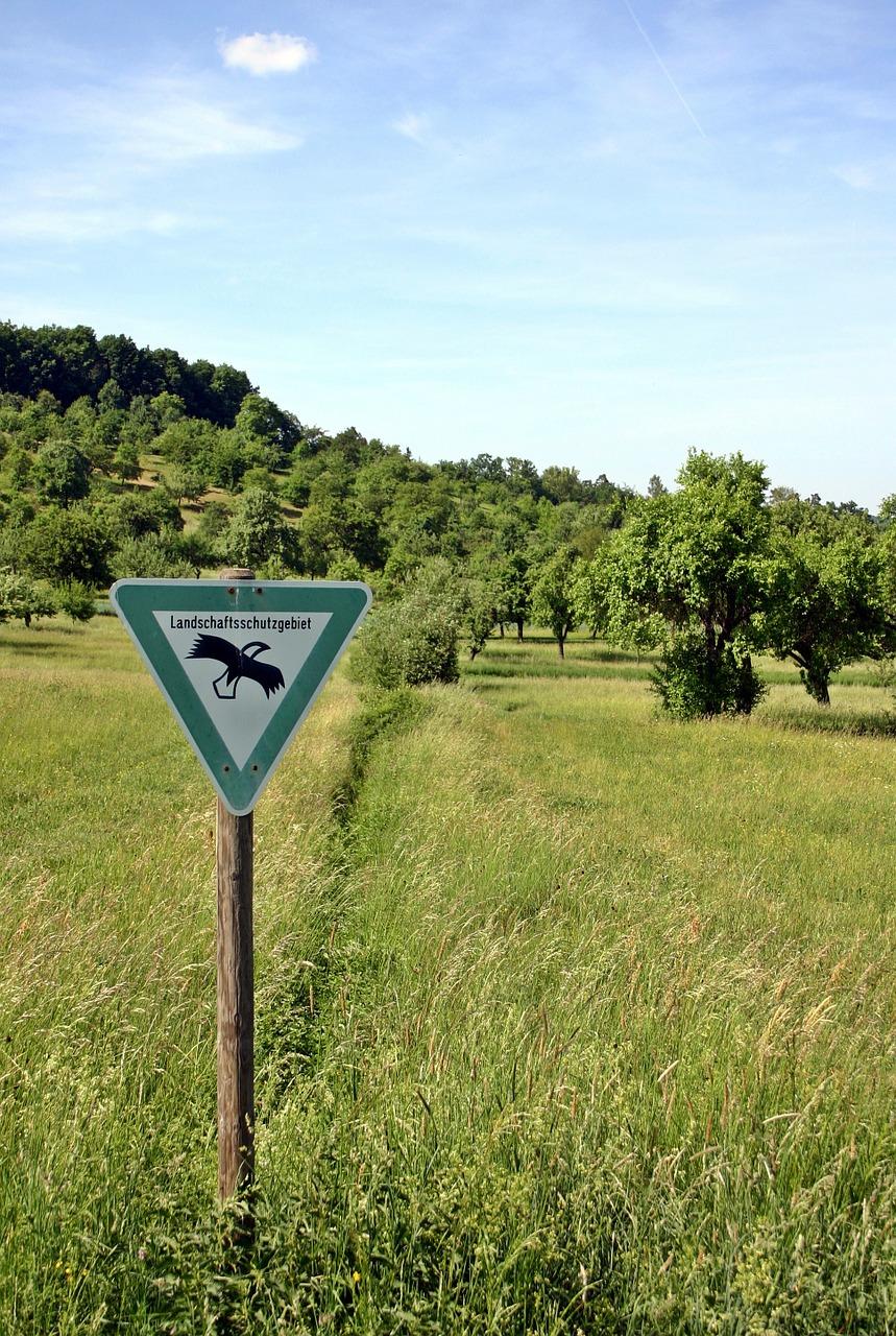 原生地贷款条件解析