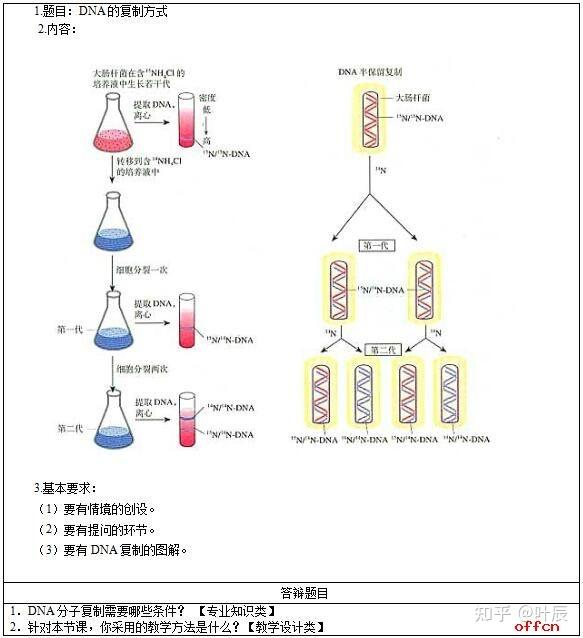 dna全保留复制图图片