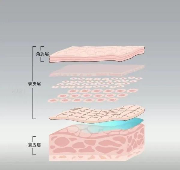 透皮给药途径的利弊 - 知乎