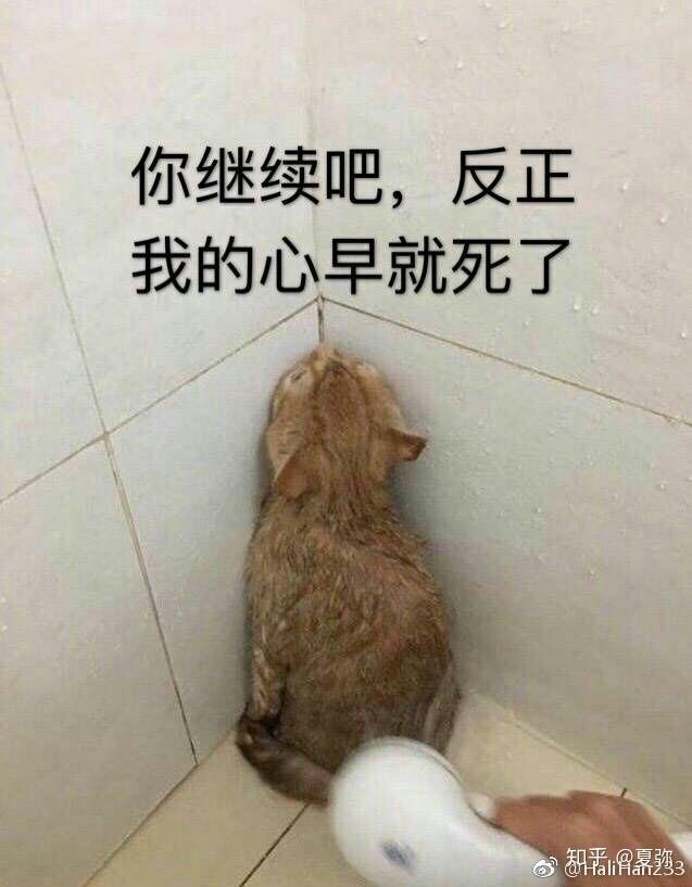 查高考成绩是一种什么样的体验?