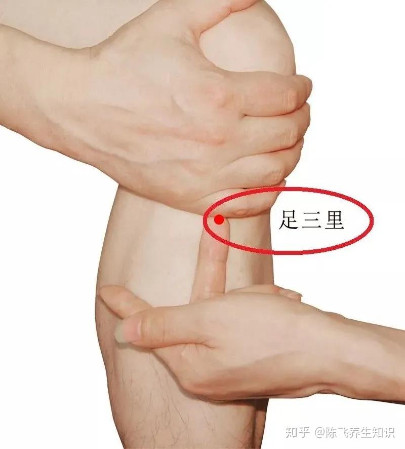 啥叫气血虚 v2-0eb6f57e9d9bedbe1a040cd27f473780_r.jpg