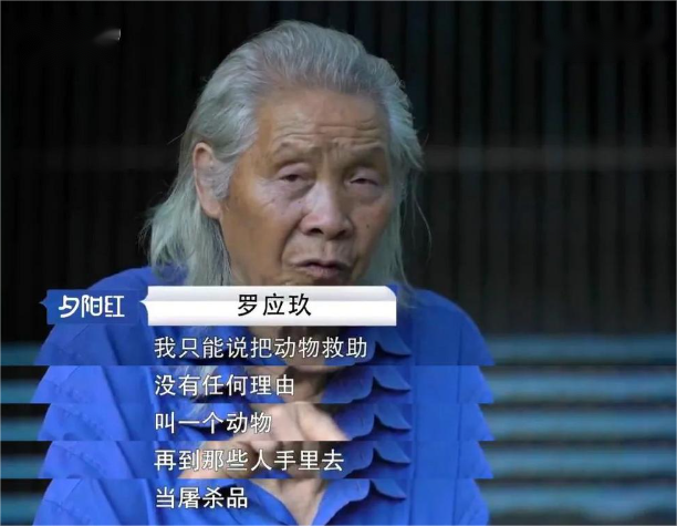 （接受采访）
