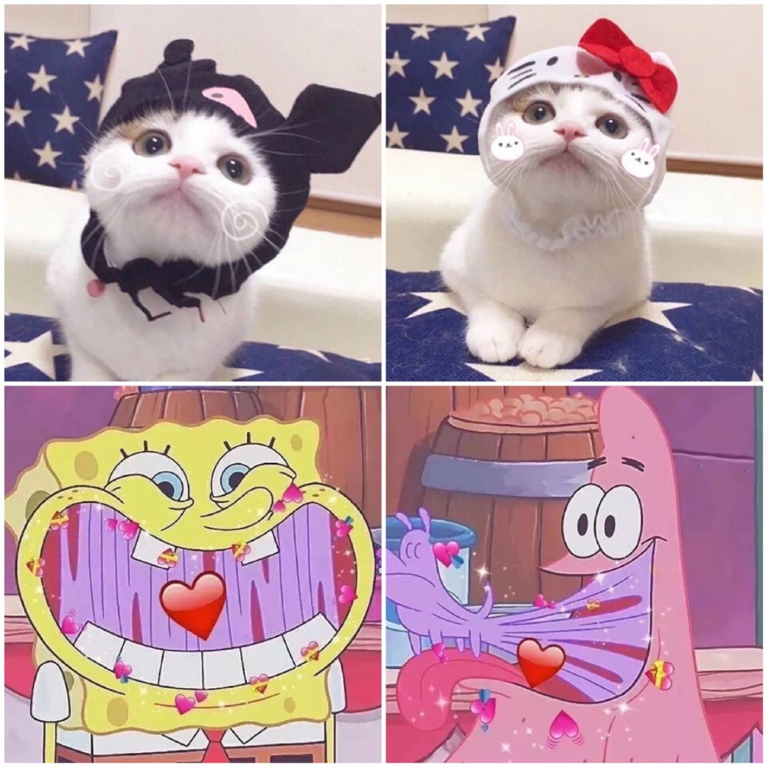 有那种憨憨的情侣头像吗