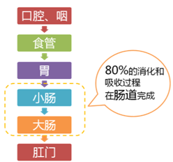 v2-0edc86cfadad0bcccc2fd9cd3529d9b8_b.png