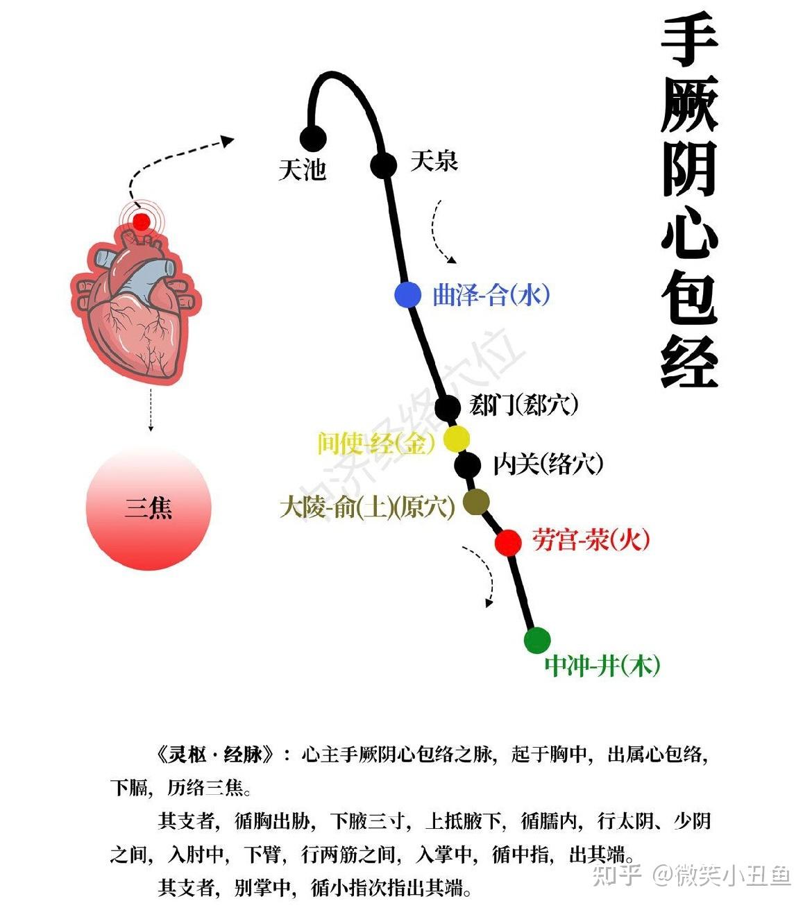 中医《十二经脉》-手厥阴心包经 相关整理 - 知乎