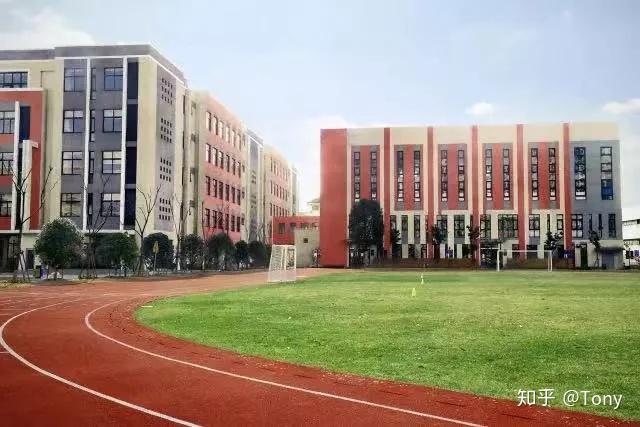 上海七宝德怀特高级中学升学分析及考题回顾