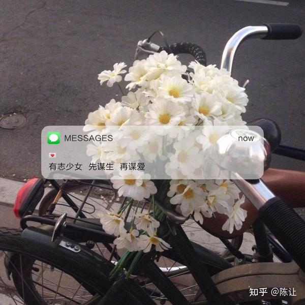 三观很正的爱情文案(三观很正的文案.)