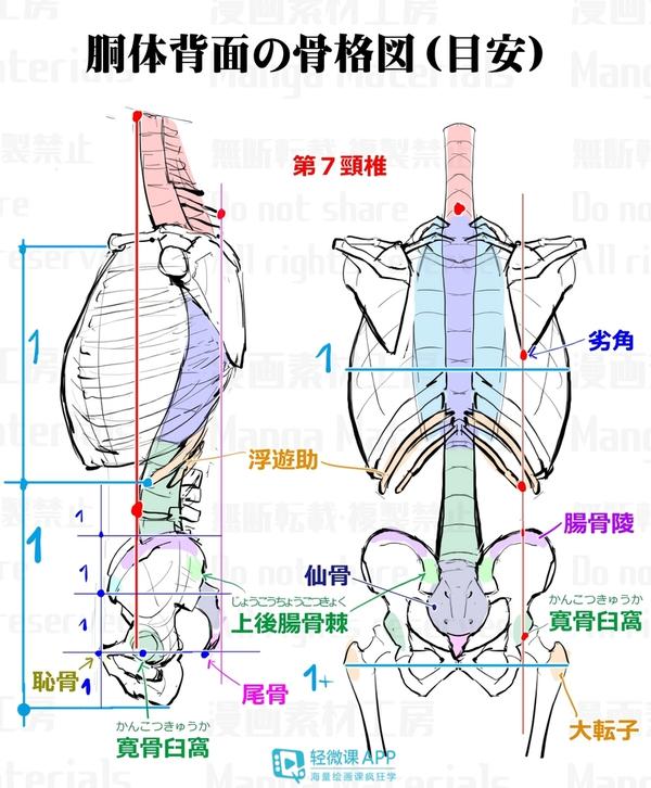100p人体侧面 背面绘画素材 360度无死角 人体侧面站姿 艾帝网