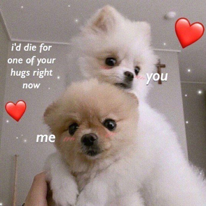 各位有什么关于官宣的文字图片吗