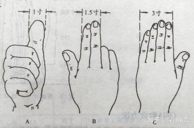 第三種:二橫指(示中指)同身寸,折作同身寸1.5寸.