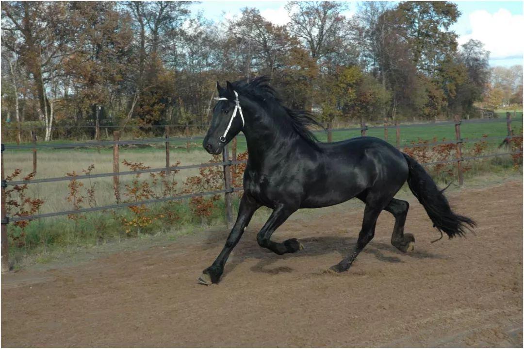 他第二次出使西域归来后,不仅将印度的方位给推出来了,然后造成了整个