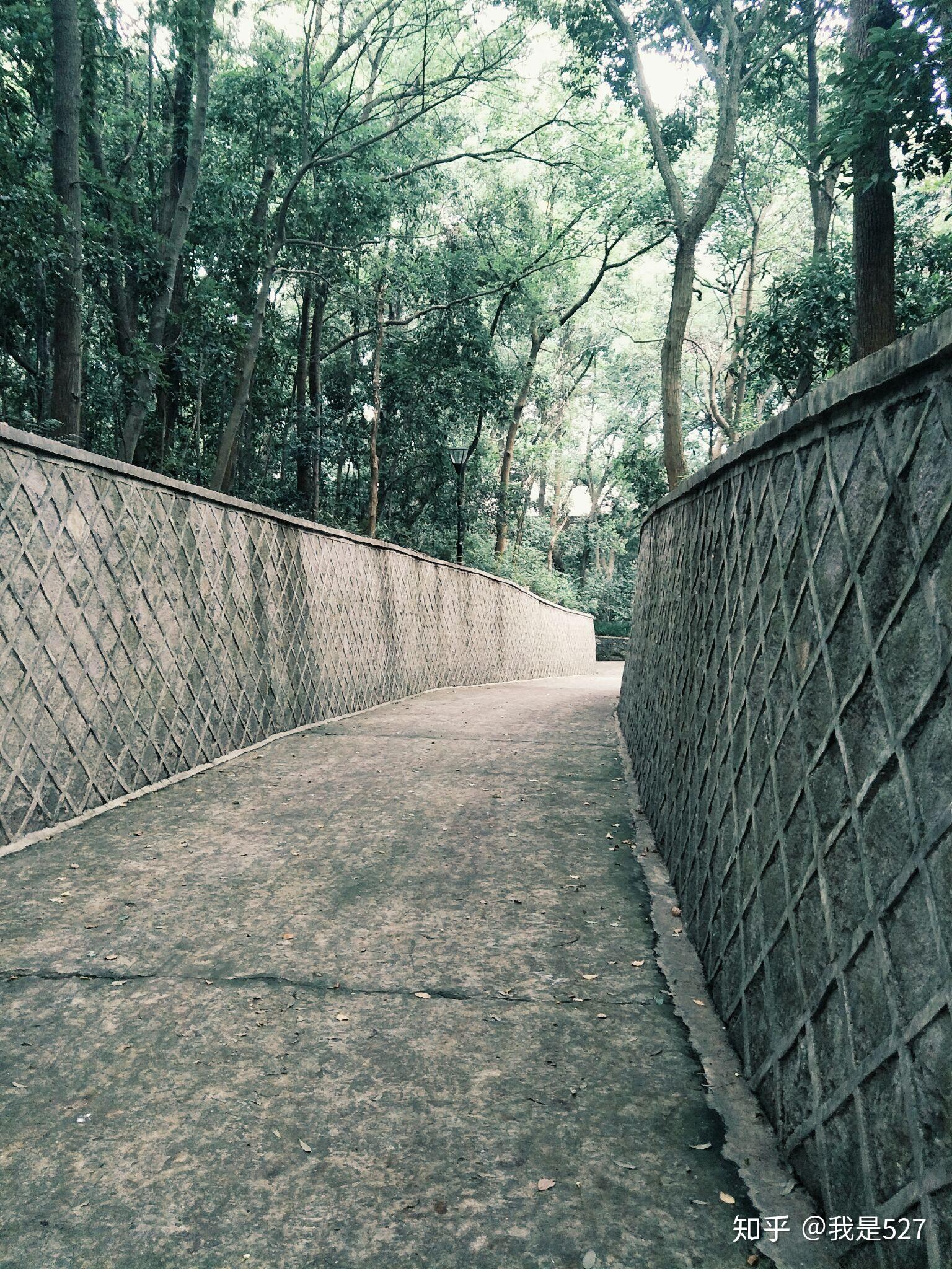 浙江的大学有哪些好看 v2-0f0728536560c7383c92f98fa324812c_r.jpg