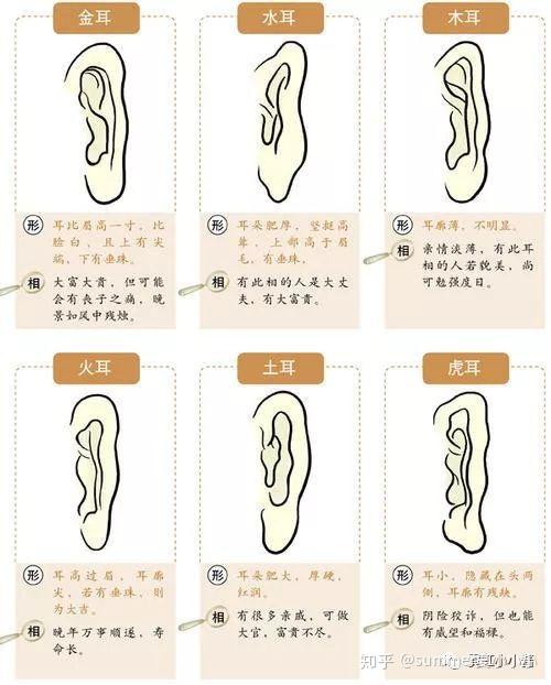 耳朵都开始整容了是土是洋和耳朵关系大吗